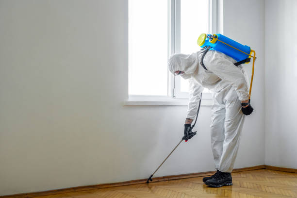 Reliable Colfax, IL Pest Control Solutions